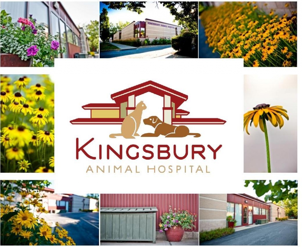 Kingsbury Animal Hospital, Veterinarian, St. Louis Missouri, 63108, 63144, 63119, 63130,63105 Kingsbury Animal Hospital, Veterinarian, St. Louis Missouri, 63108, 63144, 63119, 63130,63105