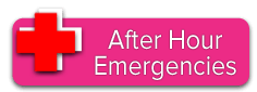 emergencies icon