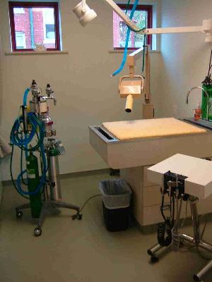 Dental treatment area