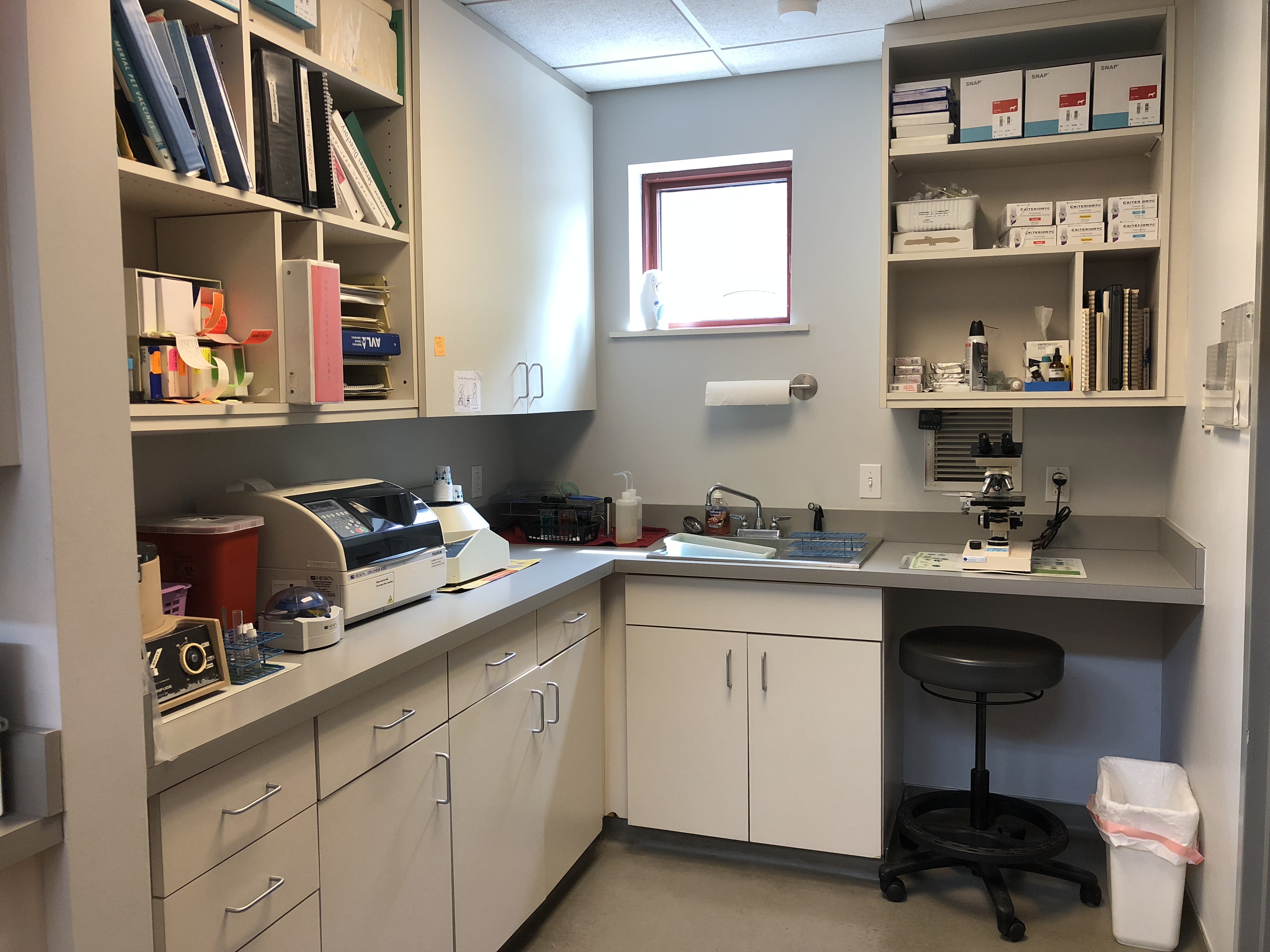 Lab Area